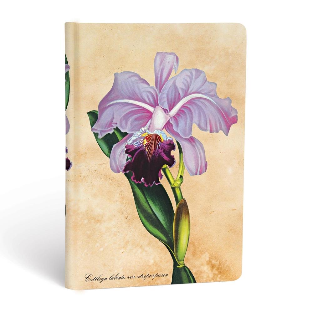Paperblanks Brazilian Orchid Mini Unlined Hardcover Journal by Paperblanks - ISBN: 9781439735732