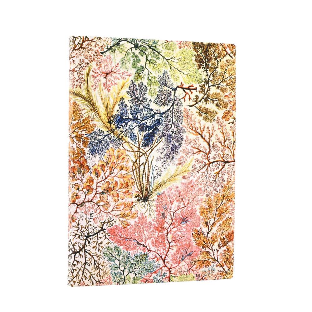 Anemone (William Kilburn) Midi Unlined Softcover Flexi Journal (Elastic Band Closure) by Paperblanks - ISBN: 9781439799055