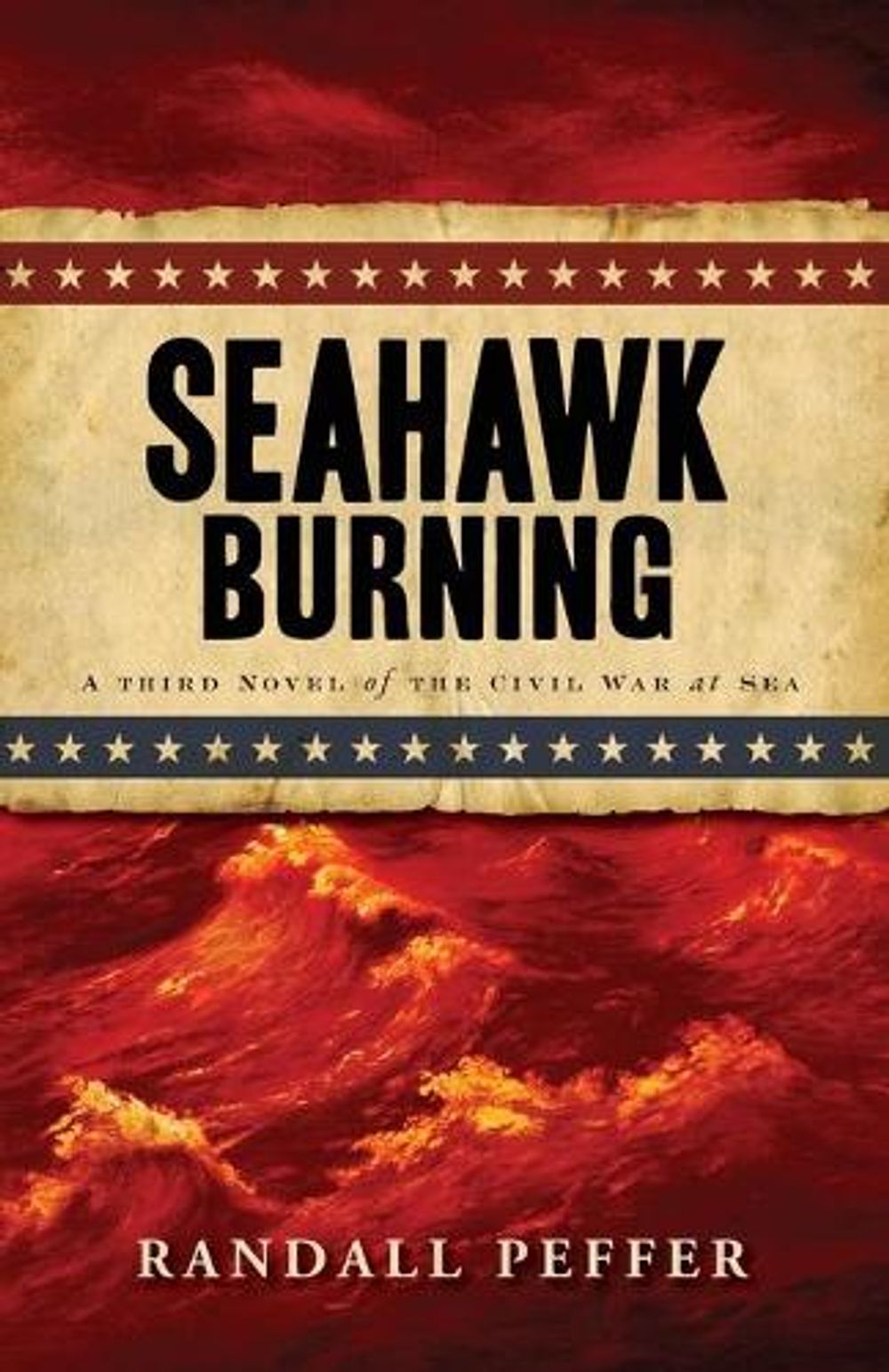 Seahawk Burning by Randall Peffer - ISBN: 9781440533150