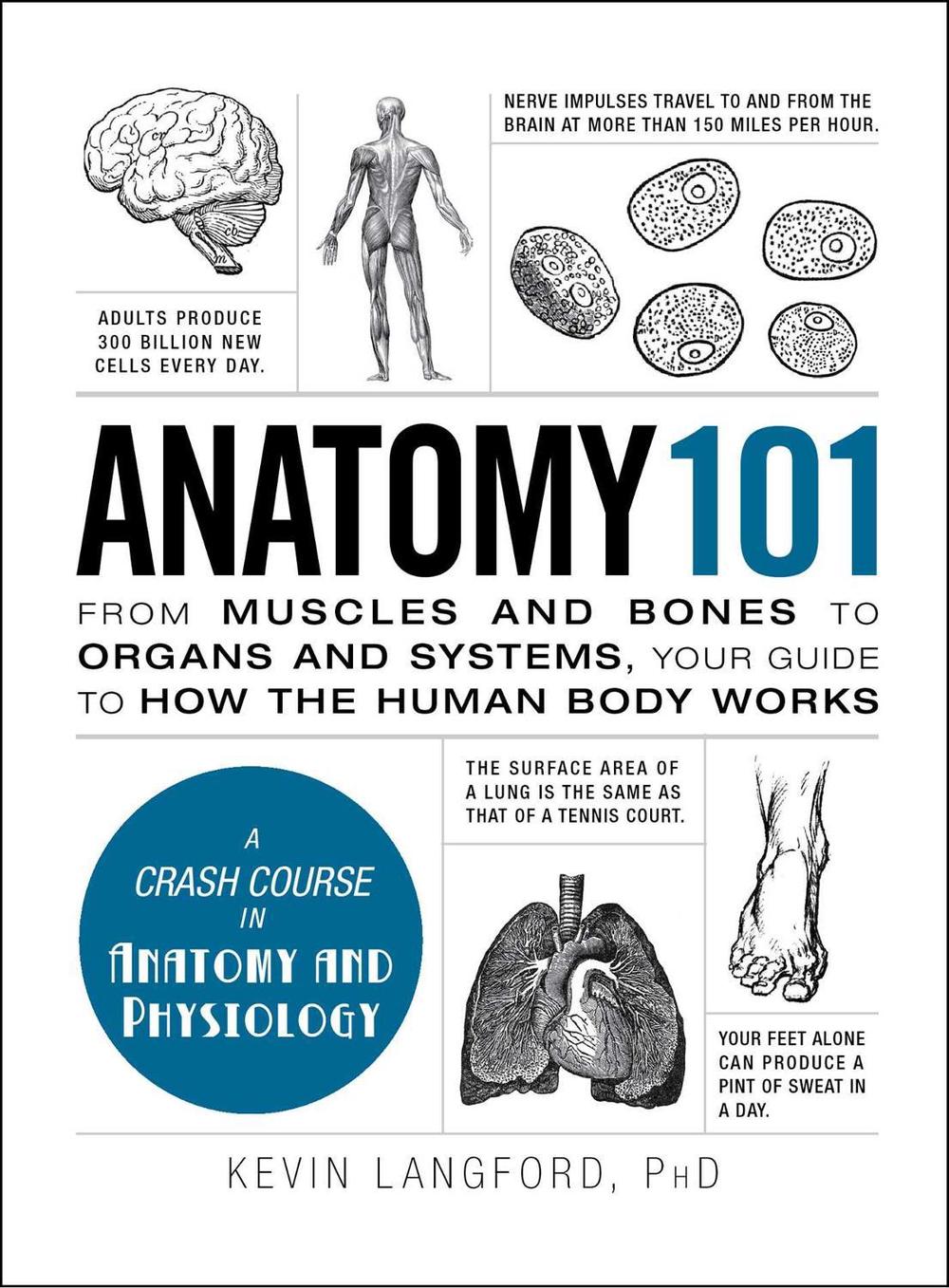 Anatomy 101 by Kevin Langford - ISBN: 9781440584268
