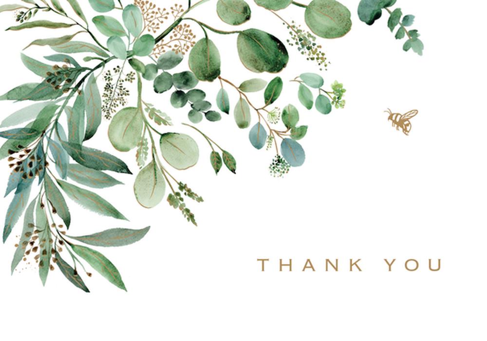 Eucalyptus Thank You Note Cards (14 Cards, 15 Self-Sealing Envelopes), 9781441341921