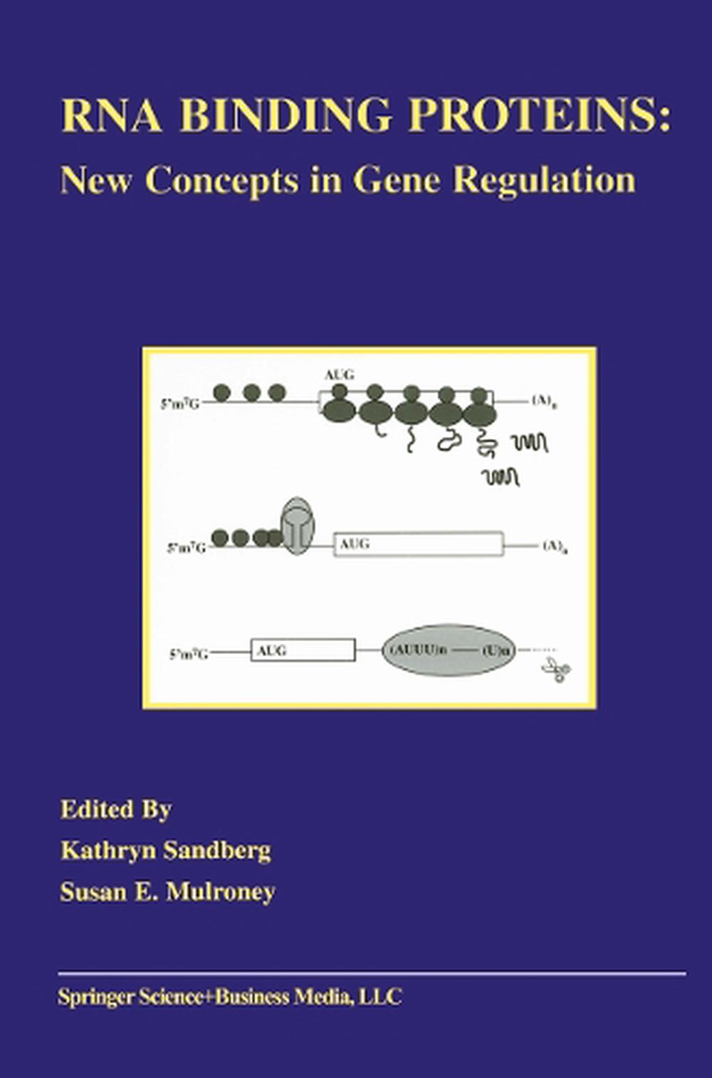 RNA Binding Proteins, 1st Edition by Kathryn Sandberg, Paperback ...