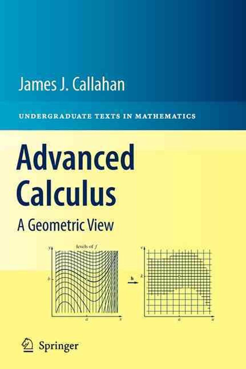 Advanced Calculus, 9781441973313