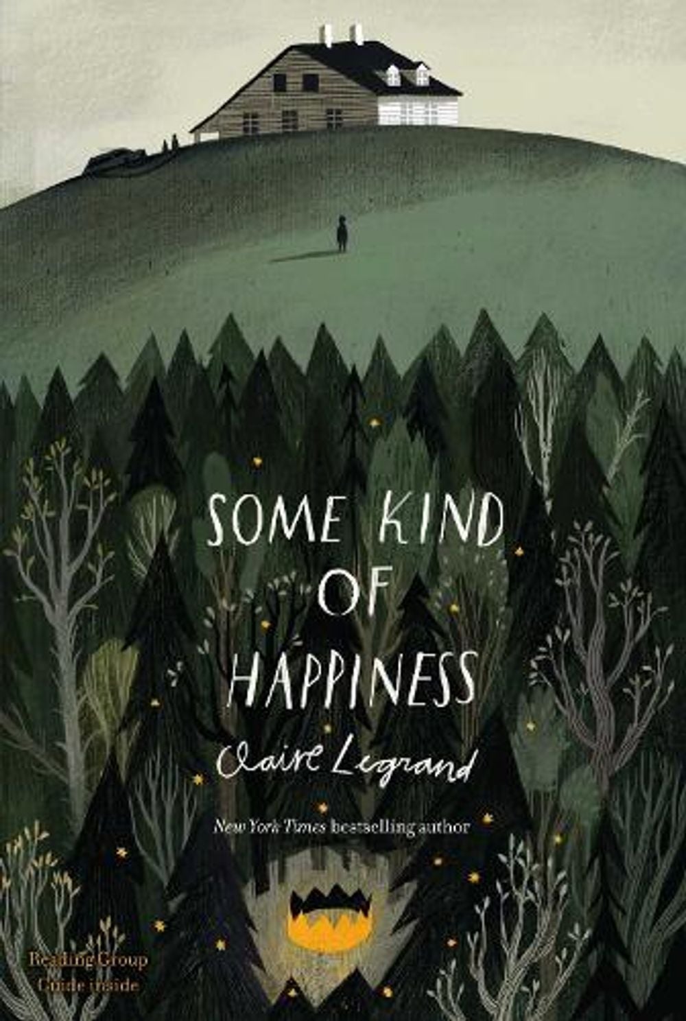 Some Kind of Happiness by Claire Legrand - ISBN: 9781442466029