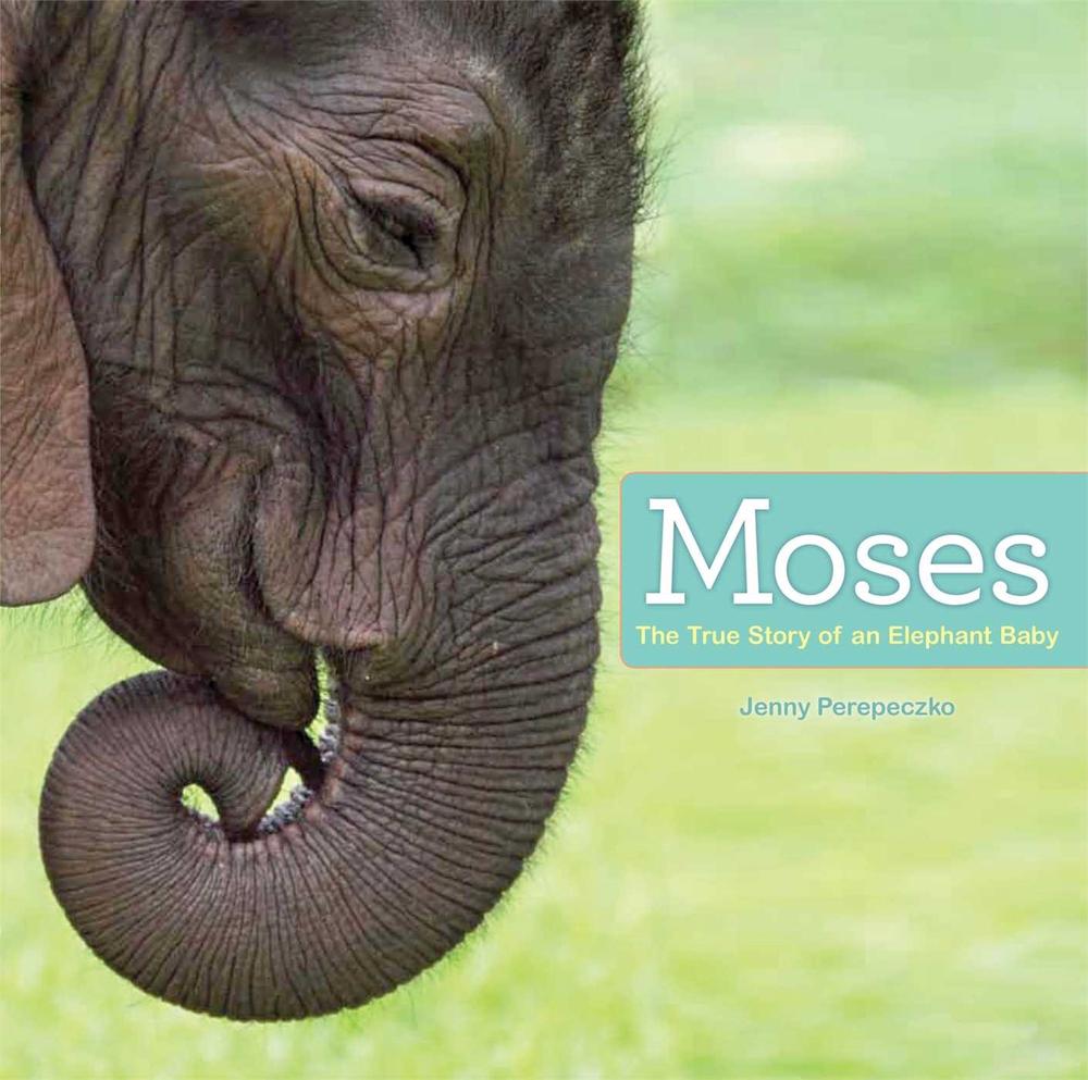 Moses by Jenny Perepeczko - ISBN: 9781442496033