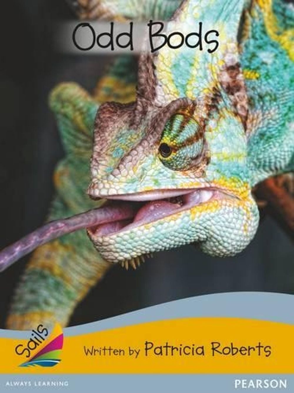 Sails Fluency Gold Bridging Silver by Patricia Roberts - ISBN: 9781442554641