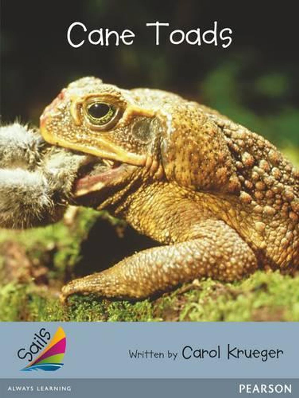 Sails Advanced Fluency Silver by Carol Krueger - ISBN: 9781442554726