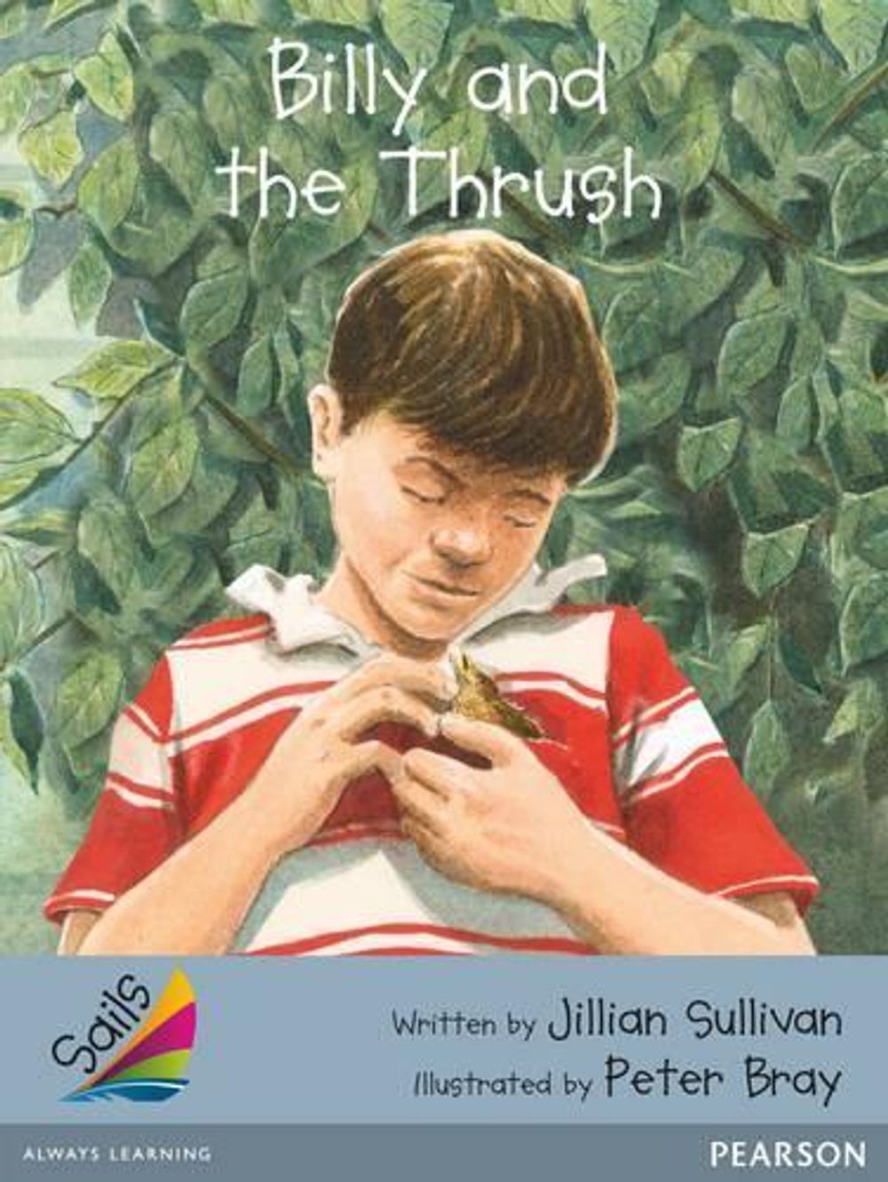Sails Advanced Fluency Silver by Jillian Sullivan - ISBN: 9781442560130