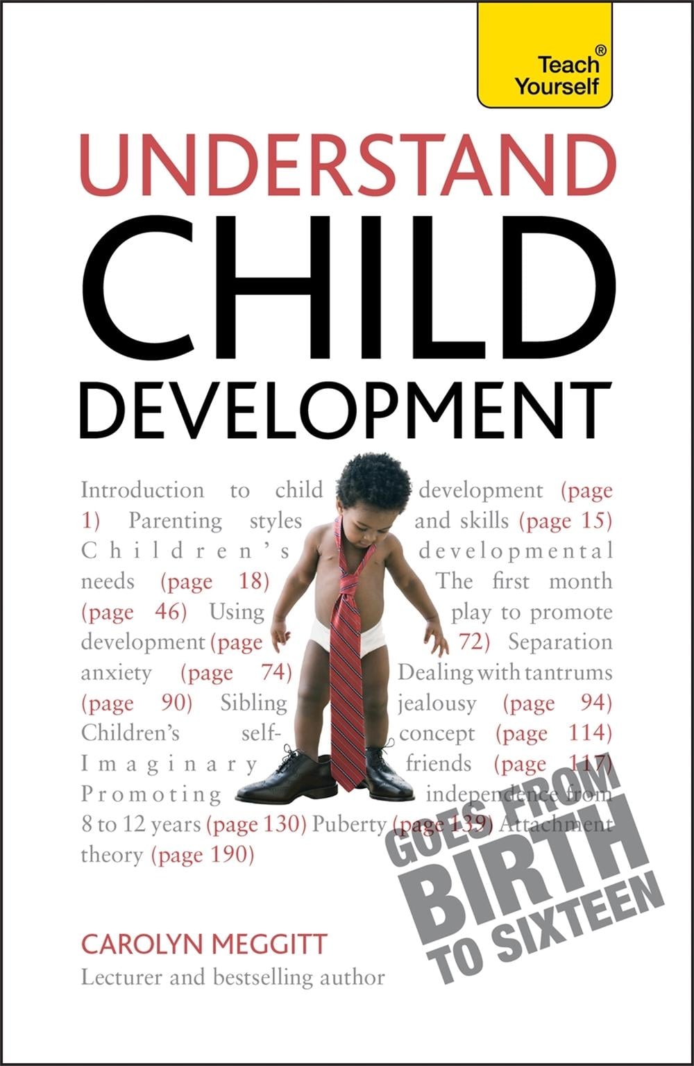 Understand Child Development: Teach Yourself by Carolyn Meggitt - ISBN: 9781444137996