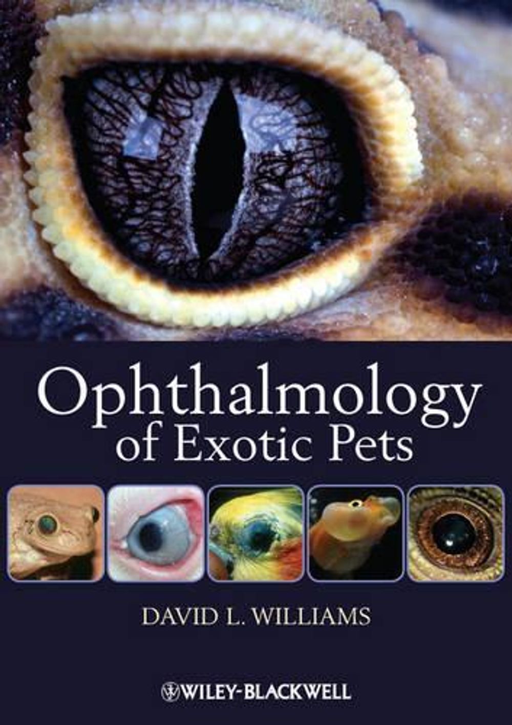 Ophthalmology of Exotic Pets, 1st Edition by David L. Williams - ISBN: 9781444330410