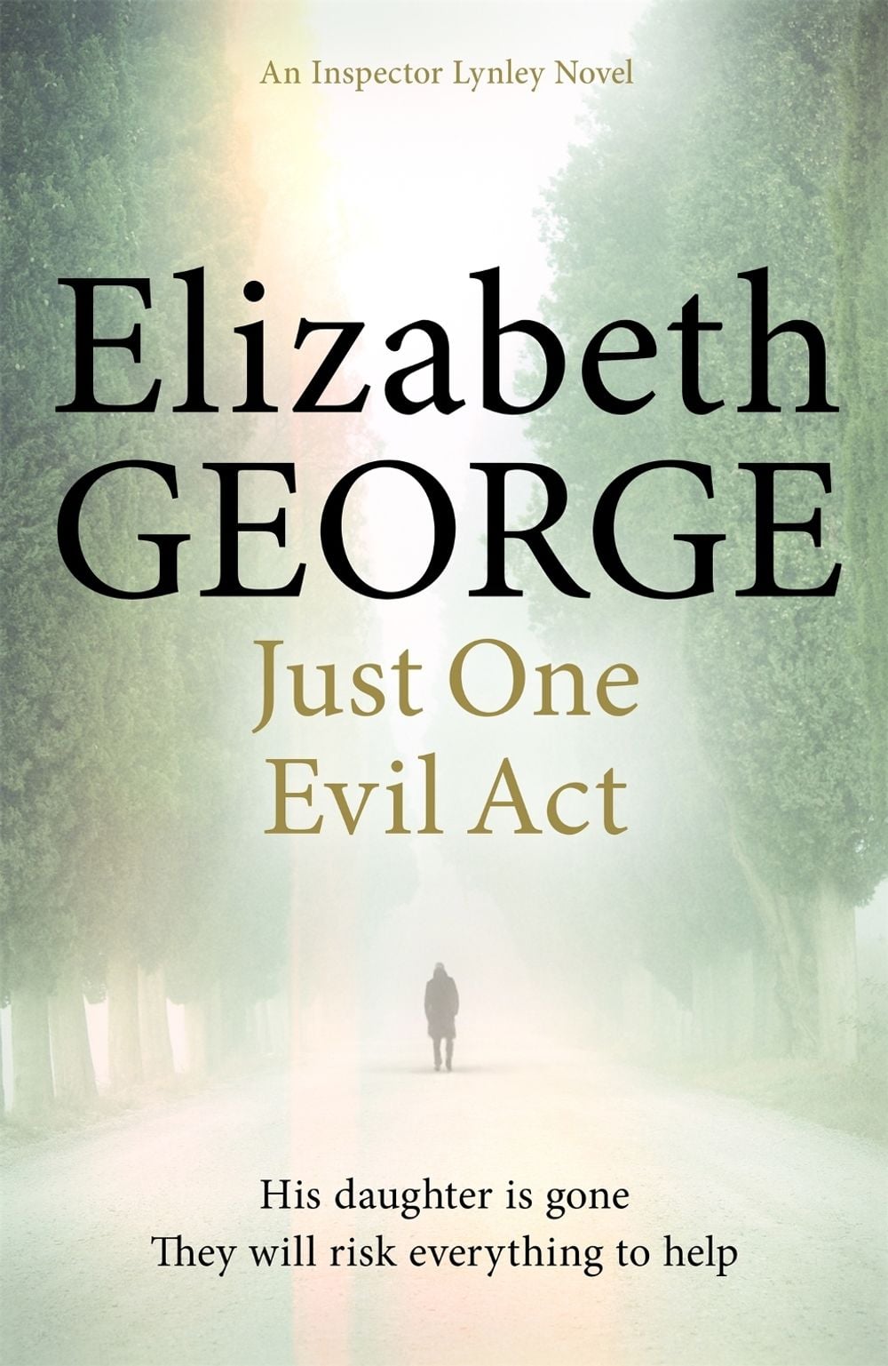 Just One Evil Act by Elizabeth George - ISBN: 9781444706024
