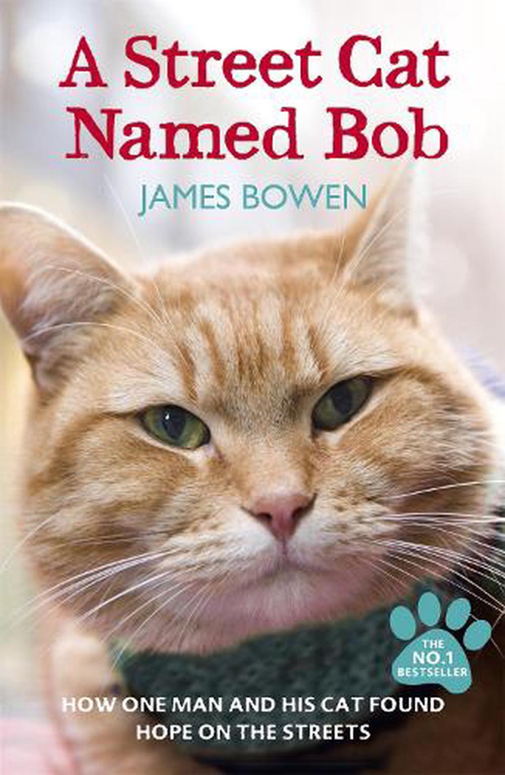 a-street-cat-named-bob-by-james-bowen-paperback-9781444737110-buy