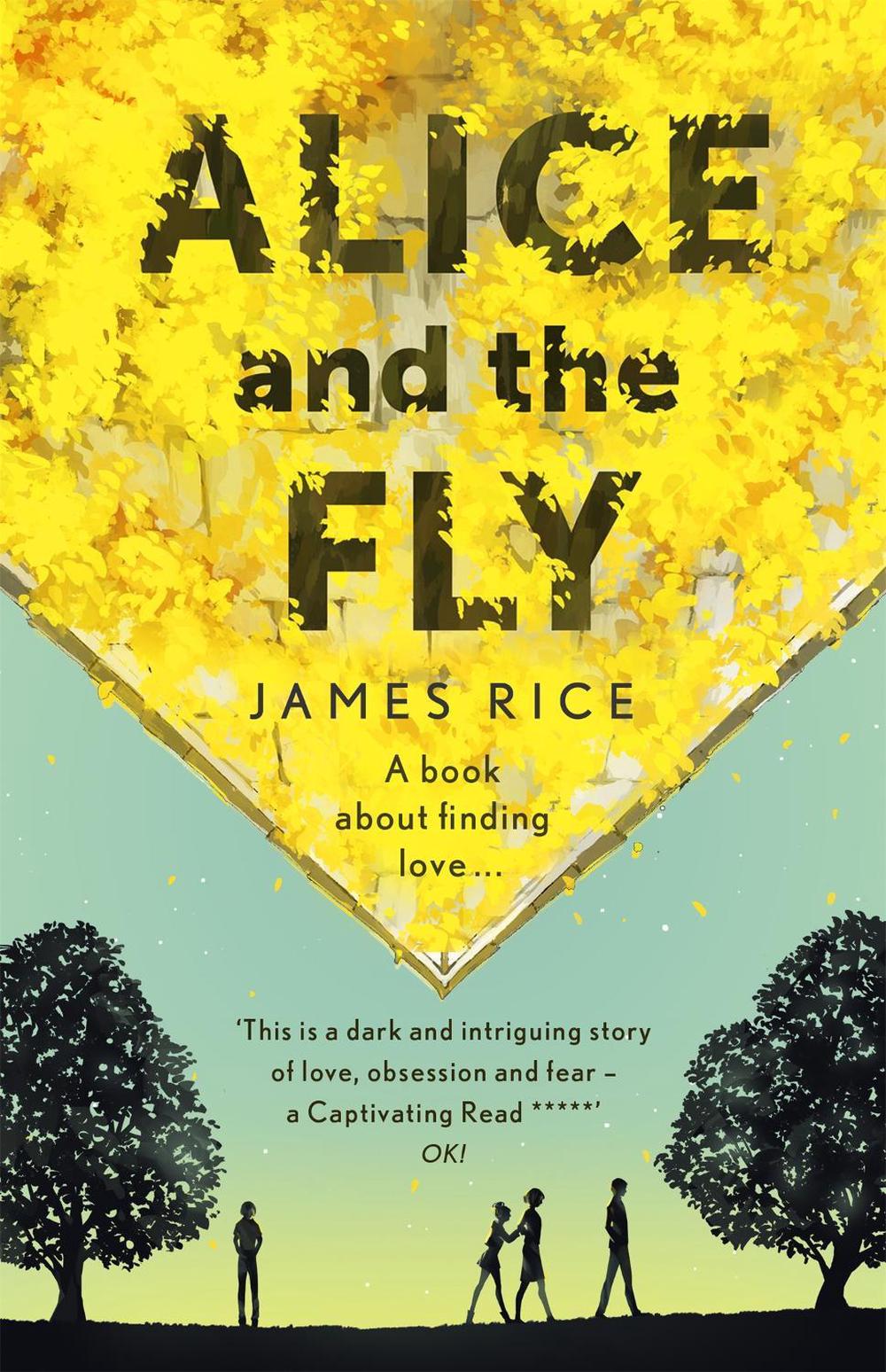 Alice and the Fly by James Rice - ISBN: 9781444790092