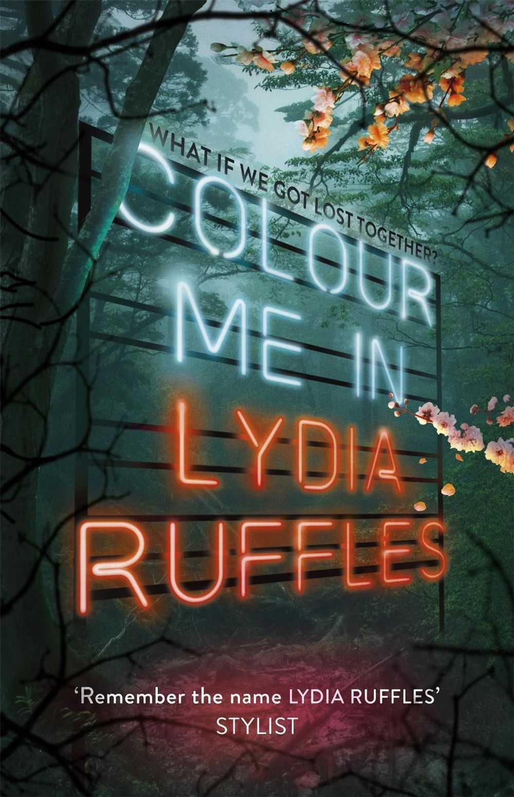 Colour Me In by Lydia Ruffles - ISBN: 9781444937671