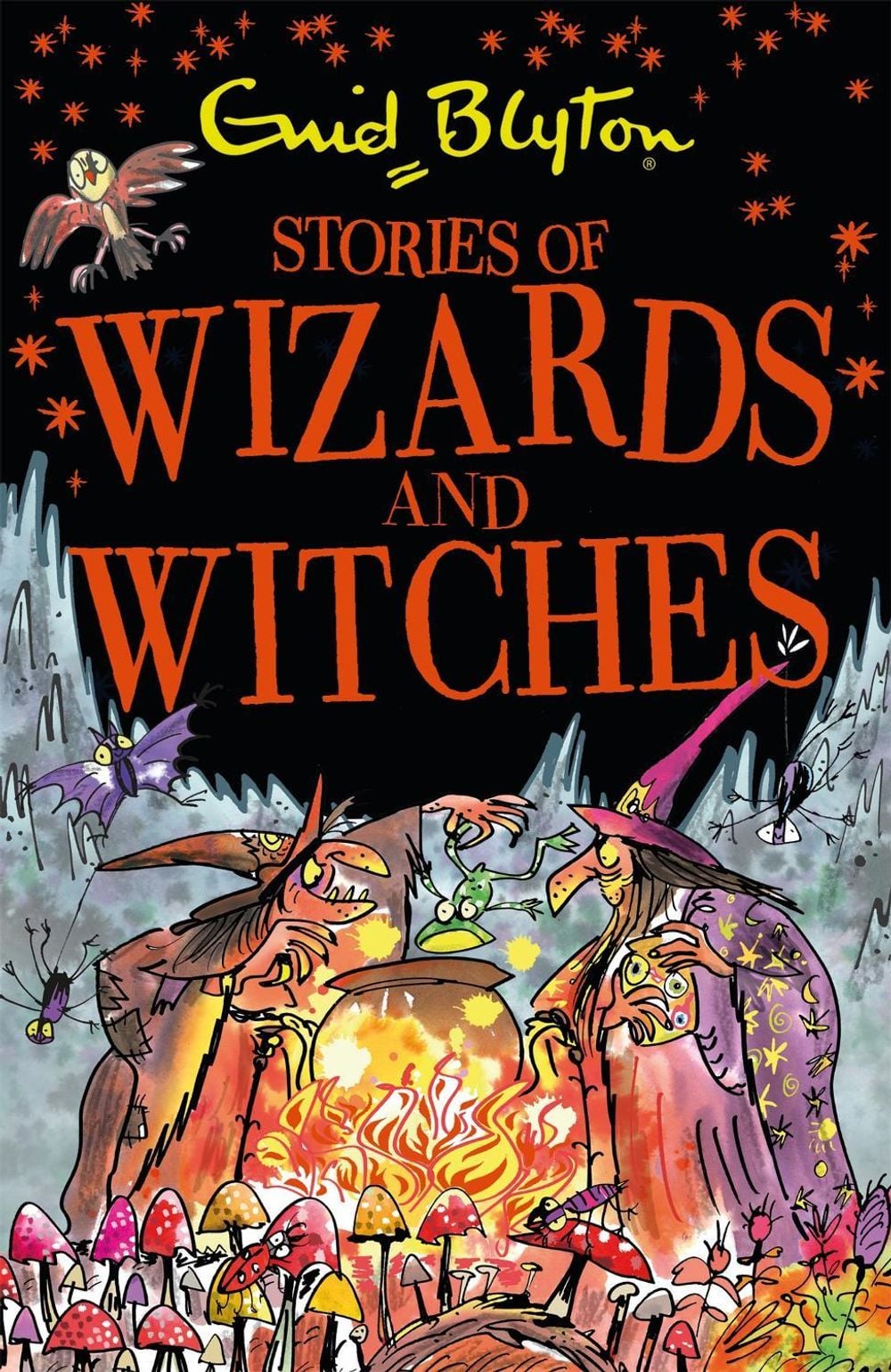 Stories of Wizards and Witches by Enid Blyton - ISBN: 9781444939972