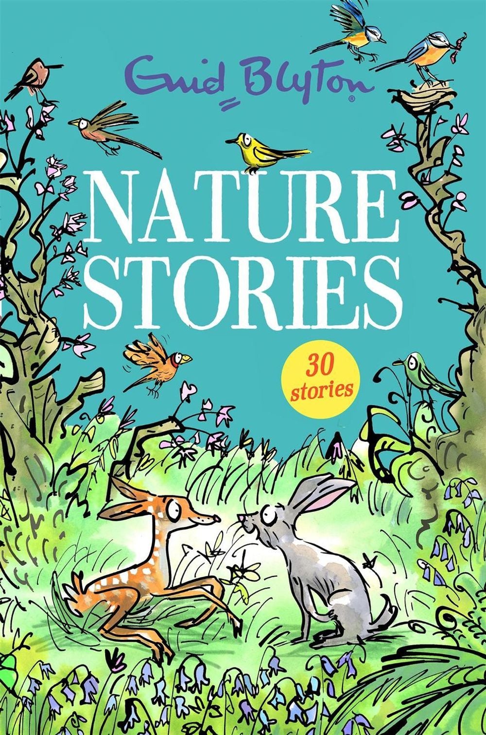 Nature Stories by Enid Blyton - ISBN: 9781444954234