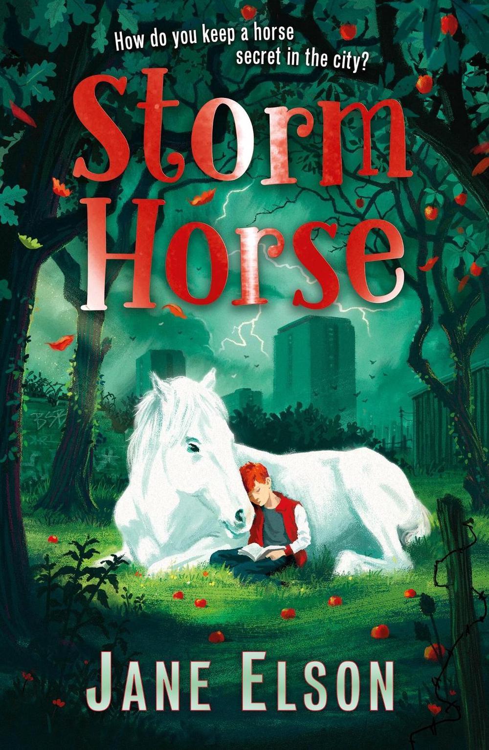 Storm Horse by Jane Elson - ISBN: 9781444955699