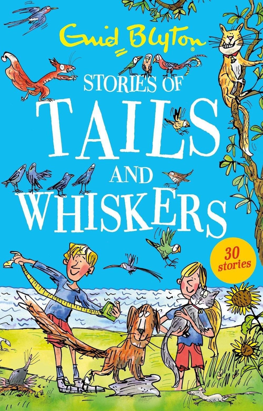 Stories of Tails and Whiskers by Enid Blyton - ISBN: 9781444969245