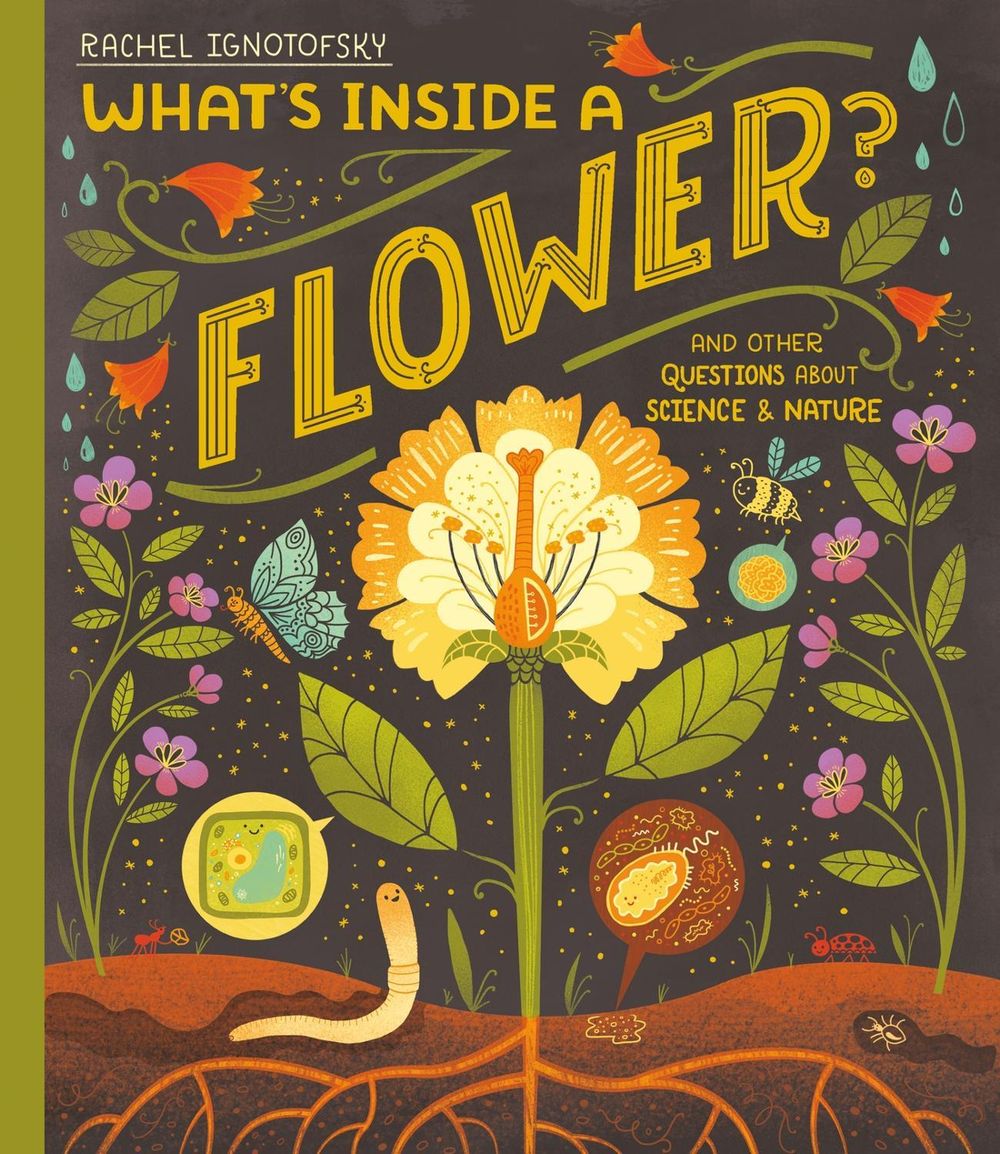 What's Inside a Flower? by Rachel Ignotofsky - ISBN: 9781444976717