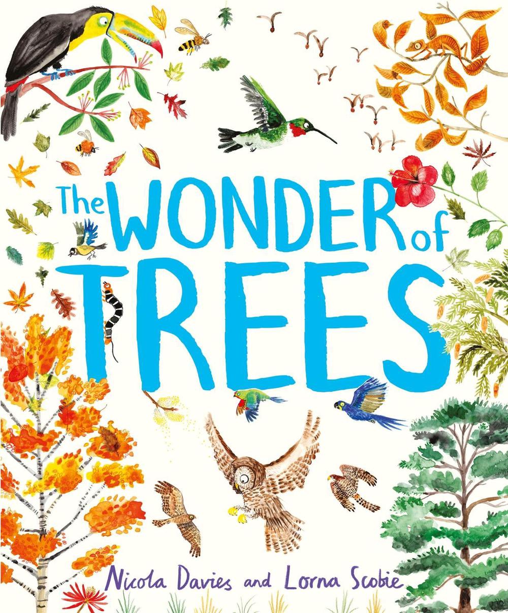 The Wonder of Trees by Nicola Davies - ISBN: 9781444978704