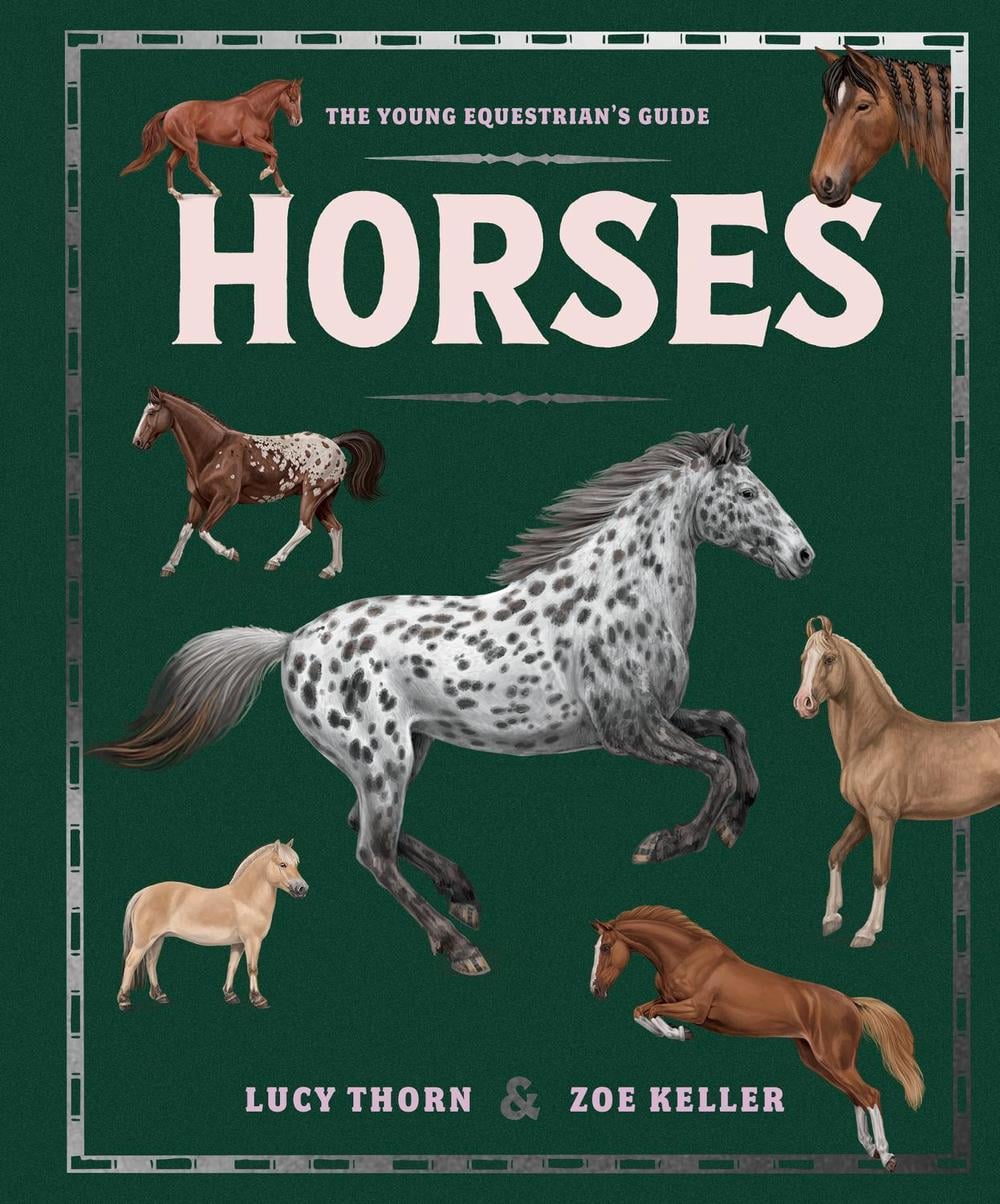 Horses by Lucy Thorn - ISBN: 9781444981247