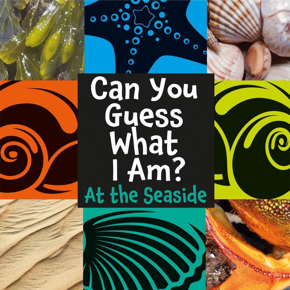 Can You Guess What I Am?: At the Seaside by J.P. Percy - ISBN: 9781445144764