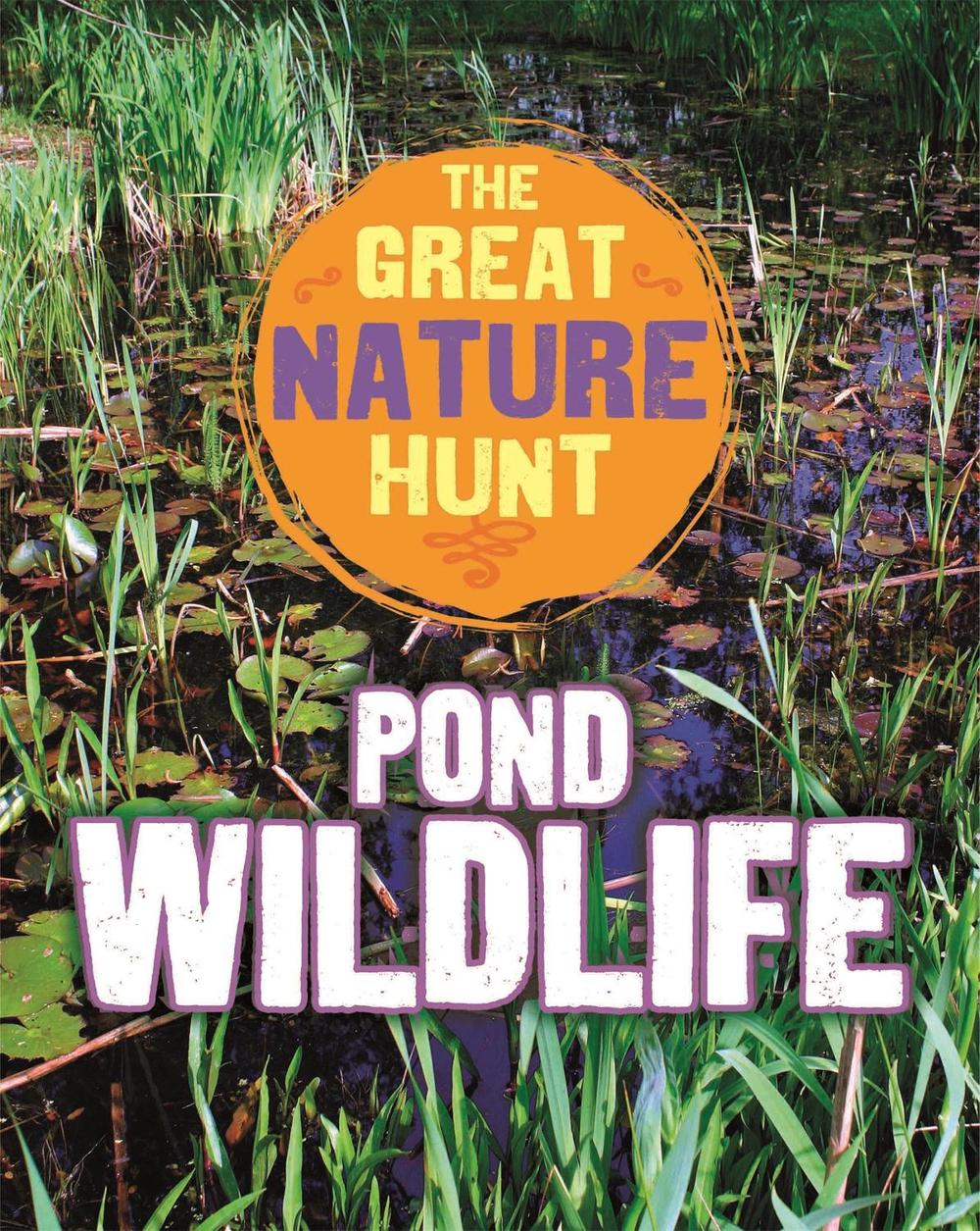 The Great Nature Hunt: Pond Wildlife, 9781445145426