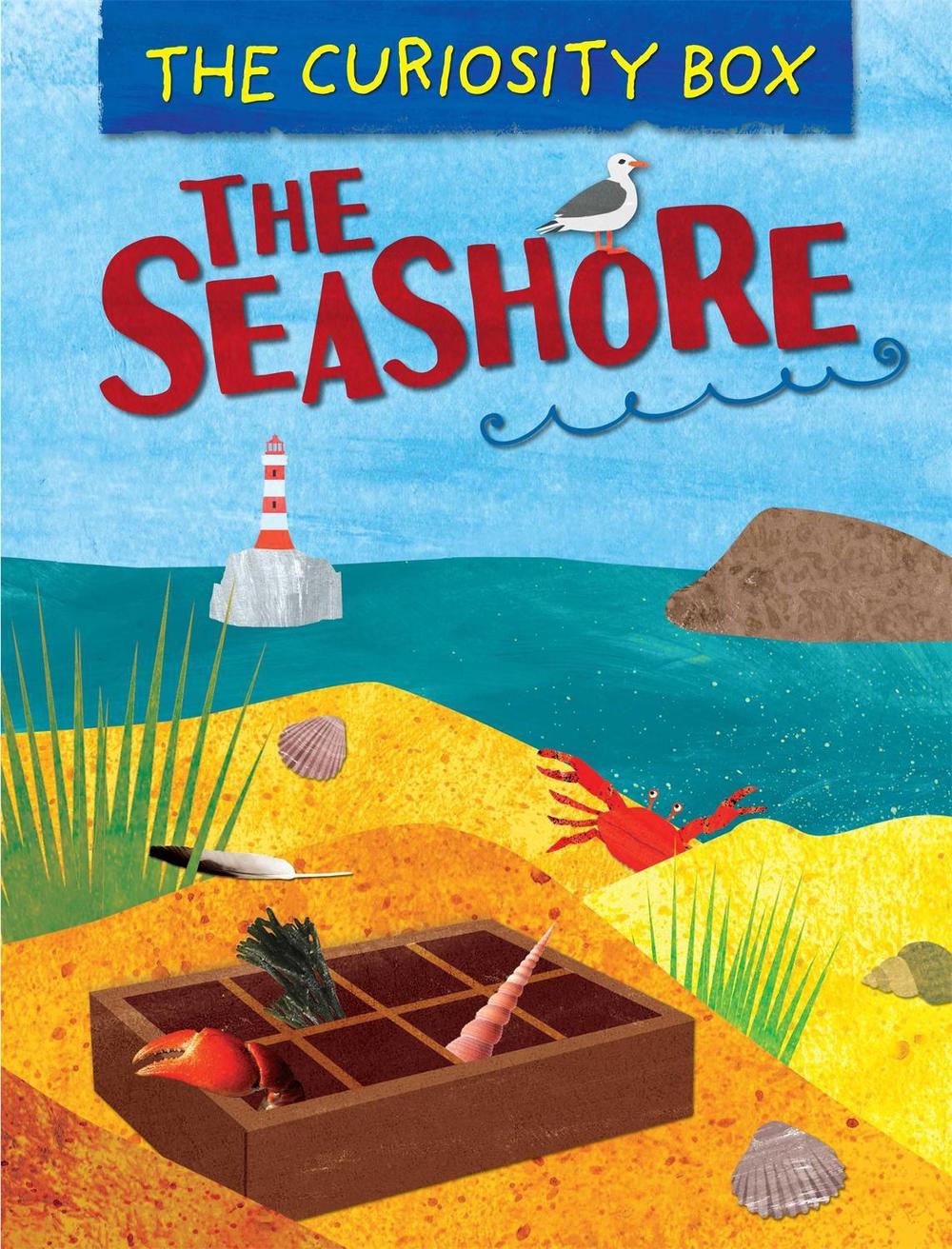 The Curiosity Box: The Seashore by Peter Riley - ISBN: 9781445146324