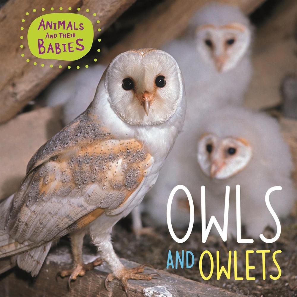 Animals and their Babies: Owls & Owlets by Annabelle Lynch - ISBN: 9781445148854
