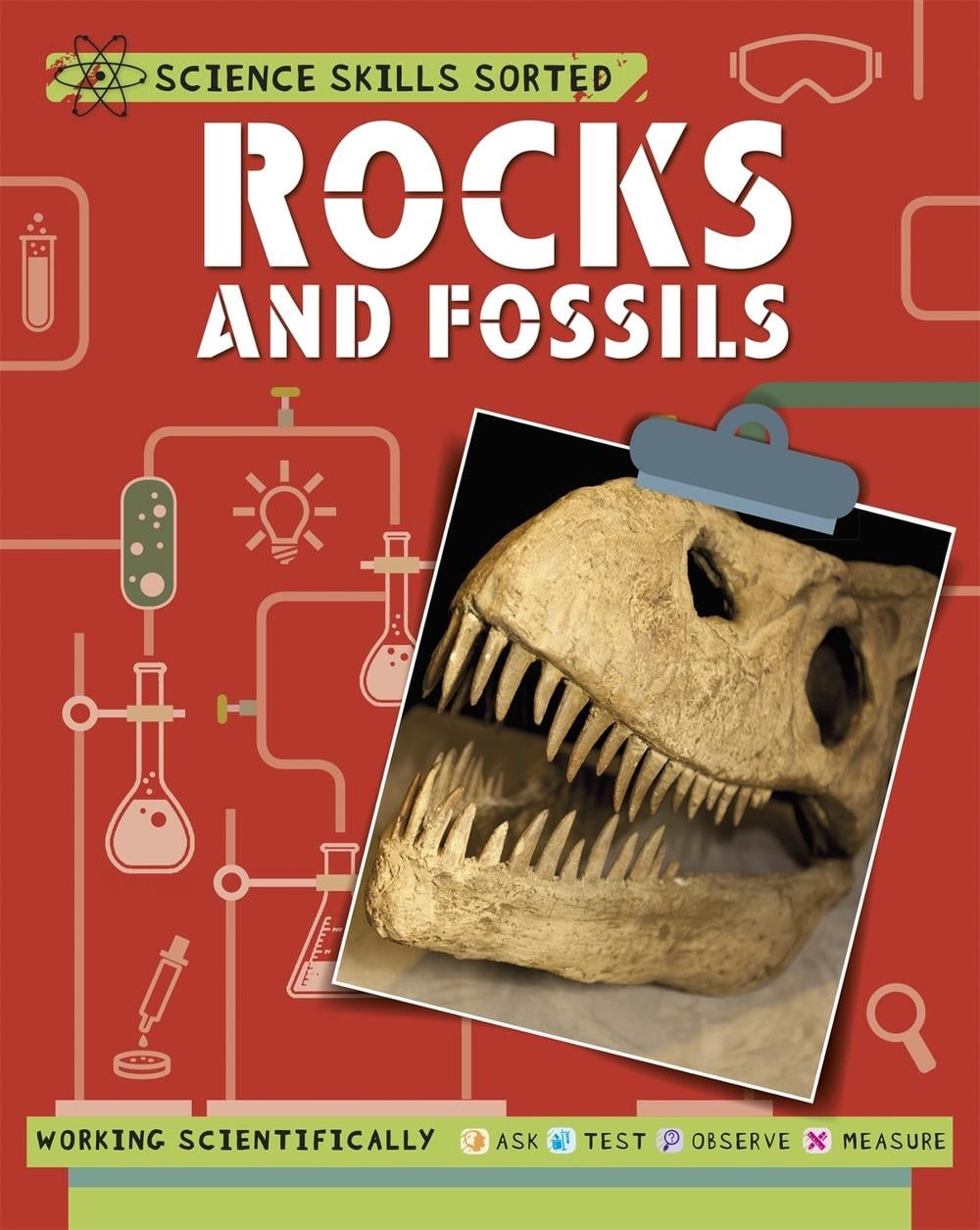 Science Skills Sorted!: Rocks and Fossils by Anna Claybourne - ISBN: 9781445151564