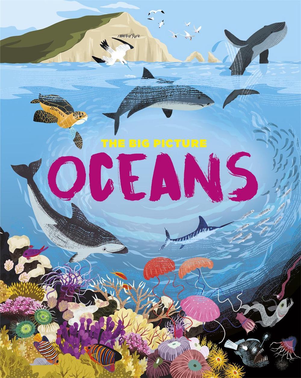 The Big Picture: Oceans by Jon Richards - ISBN: 9781445170534