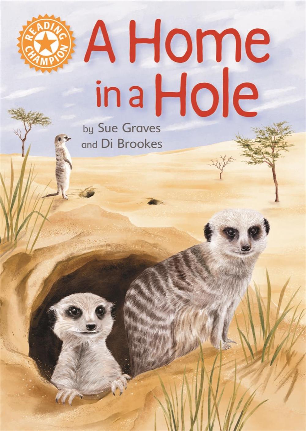 Reading Champion: A Home in a Hole, 9781445176314