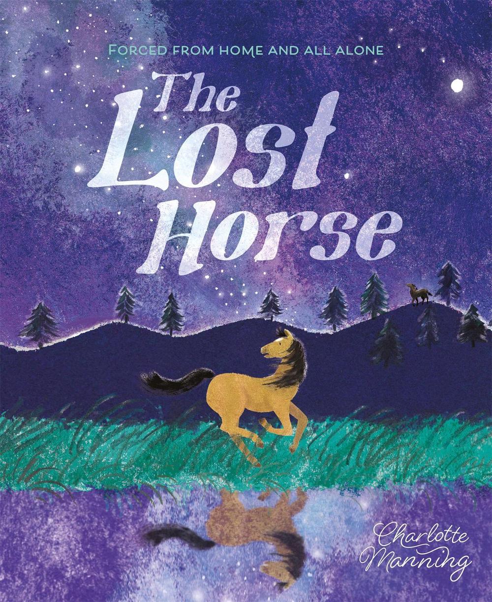 The Lost Horse, 9781445181431