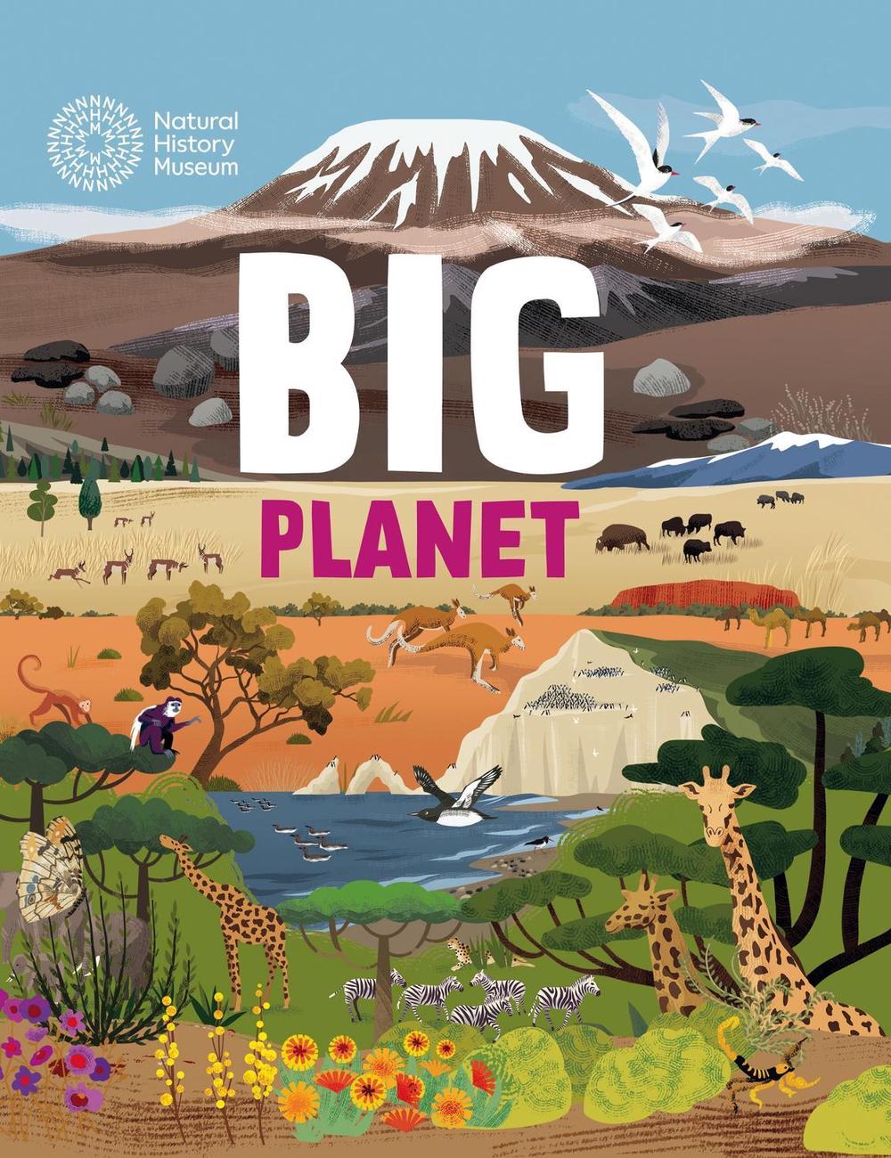 Big Planet by Jon Richards - ISBN: 9781445186375