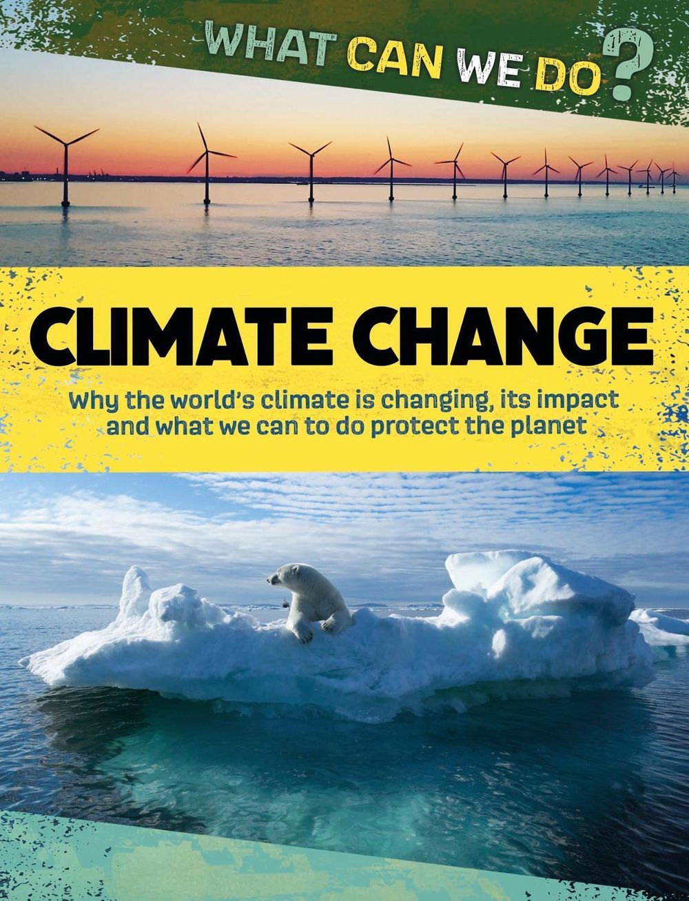 What Can We Do?: Climate Change by Katie Dicker - ISBN: 9781445188065