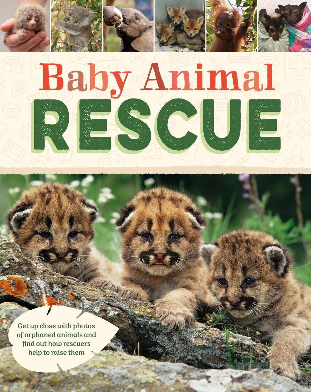 Baby Animal Rescue by Susie Williams - ISBN: 9781445195612
