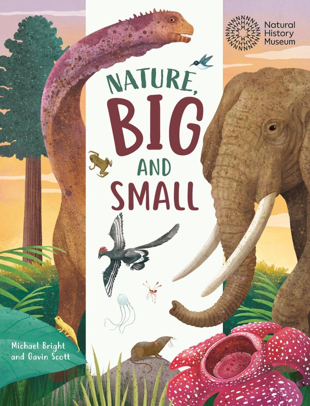 Big and Small: Nature, Big and Small by Michael Bright - ISBN: 9781445196015