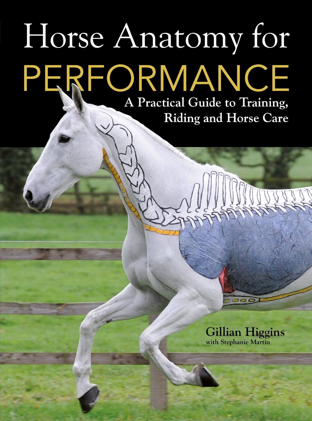 Horse Anatomy for Performance, 9781446300961