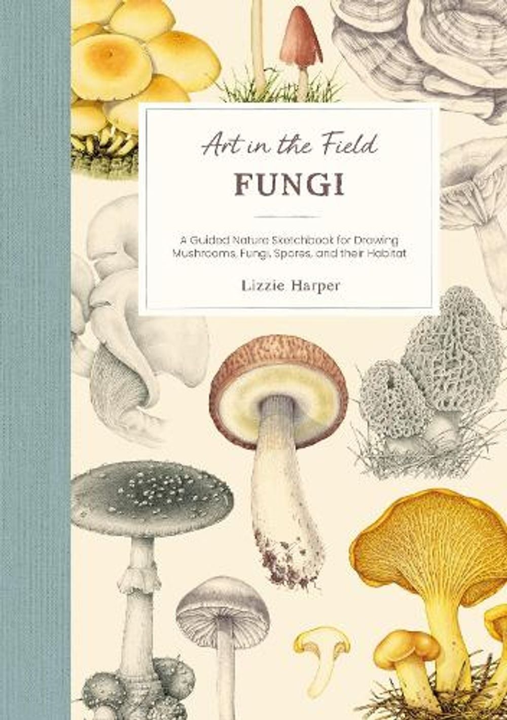 Art in the Field: Fungi by Lizzie Harper - ISBN: 9781446318669