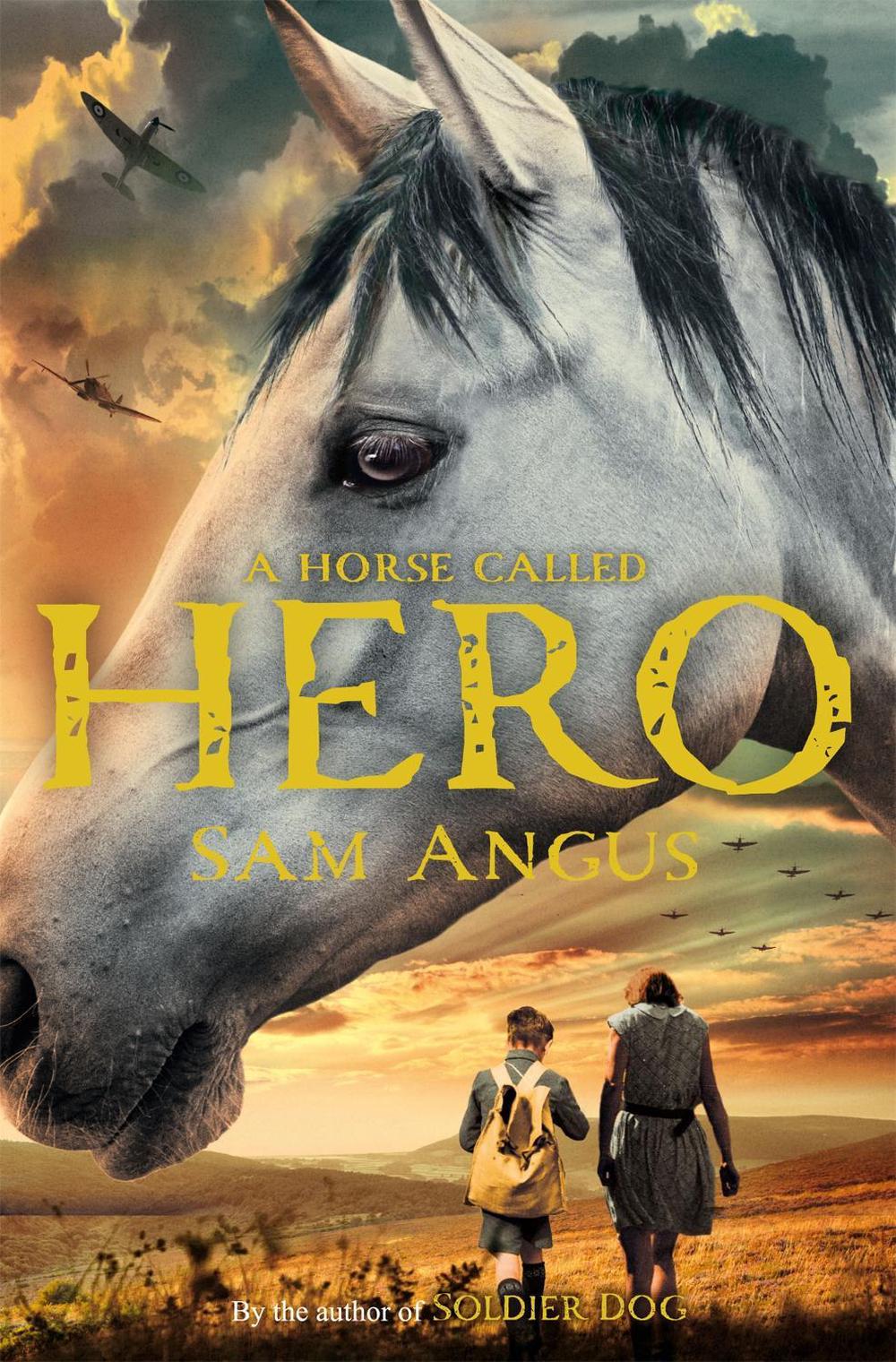 A Horse Called Hero by Sam Angus - ISBN: 9781447235774