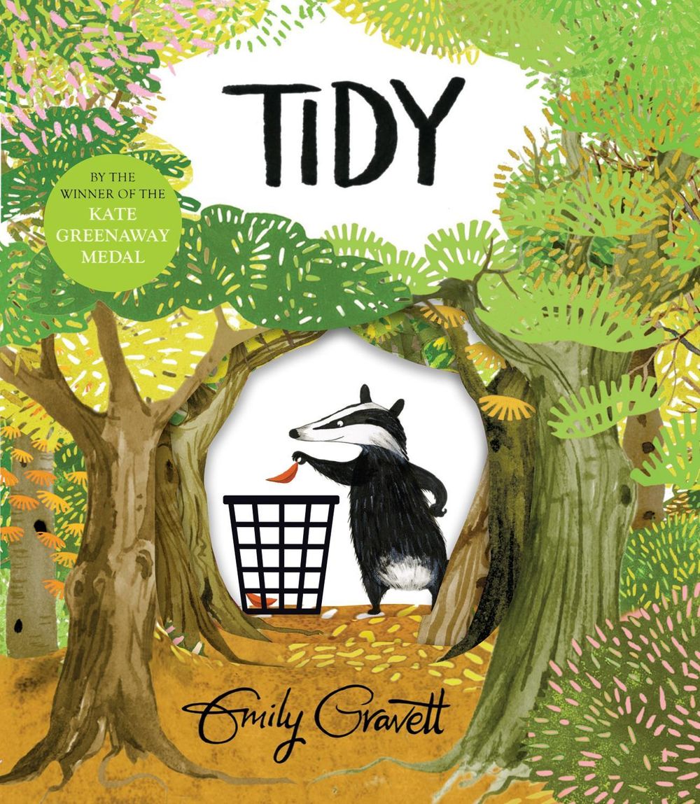 Tidy by Emily Gravett - ISBN: 9781447273998