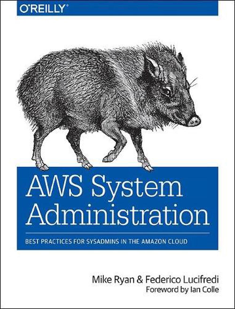 AWS System Administration, 9781449342579