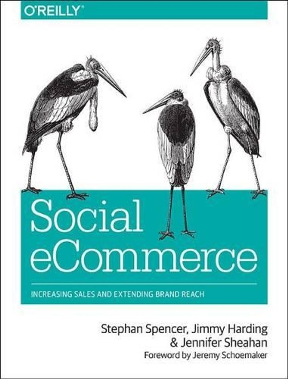 Social eCommerce by Jennifer Sheahan - ISBN: 9781449366360