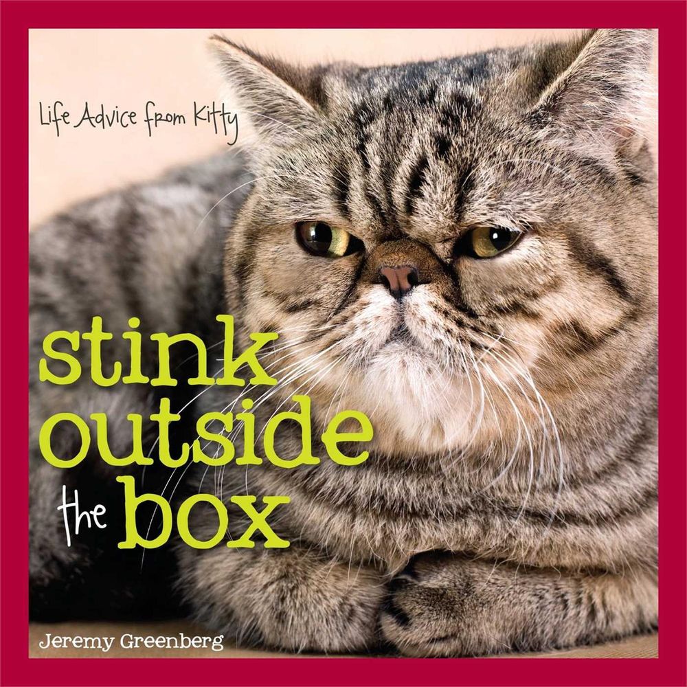 Stink Outside the Box by Jeremy Greenberg - ISBN: 9781449456597