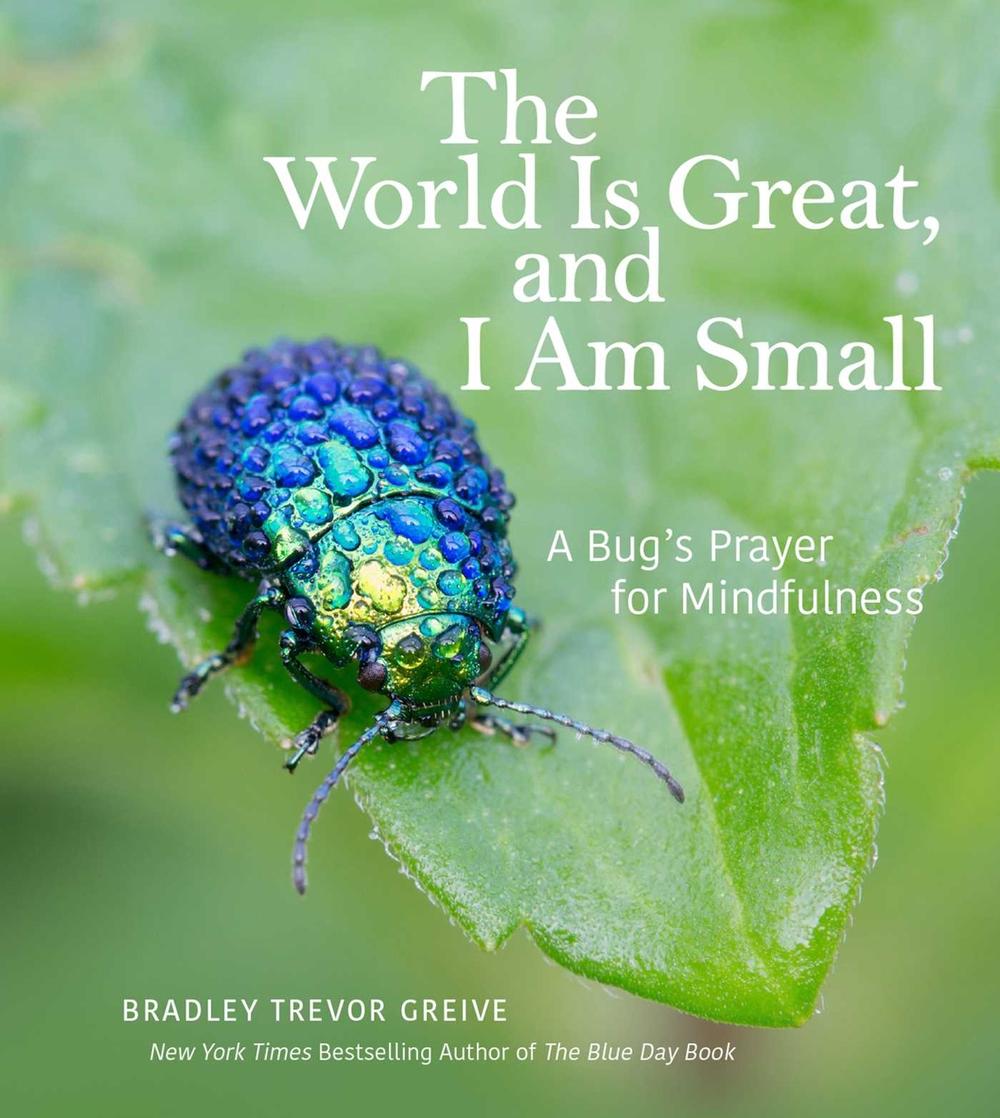 World Is Great, and I Am Small by Bradley Trevor Greive - ISBN: 9781449478865