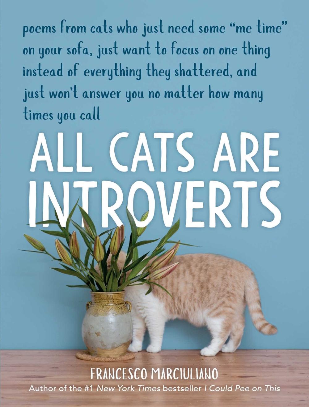 All Cats Are Introverts, 9781449495633