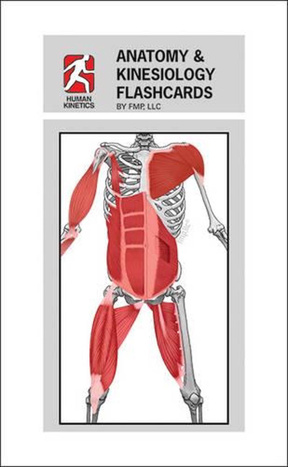 Anatomy & Kinesiology Flashcards, 9781450428378