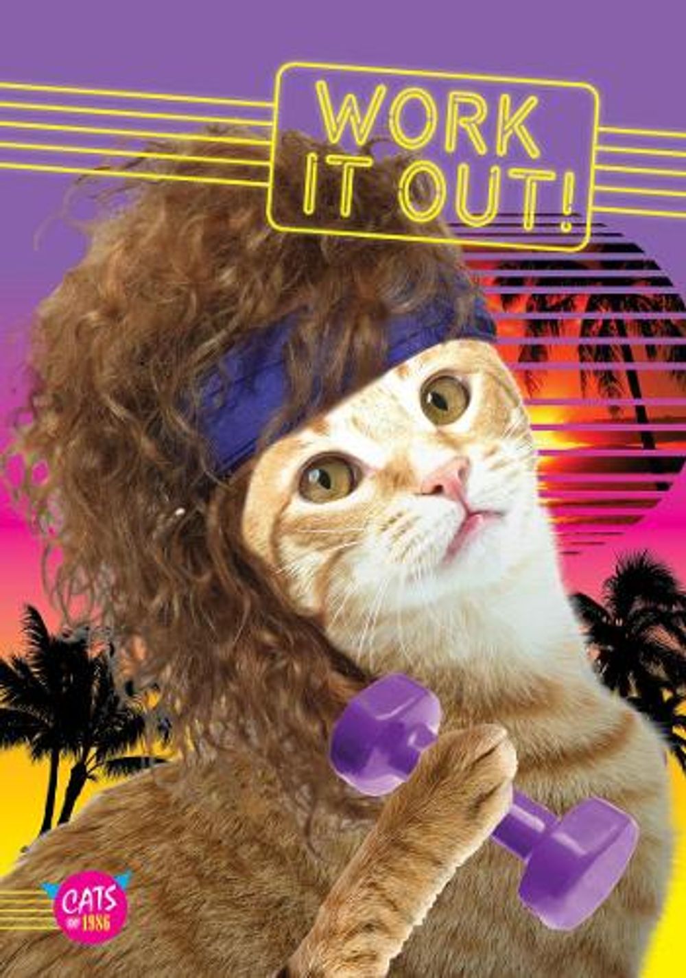 Work It Out! by Chronicle Books - ISBN: 9781452149585