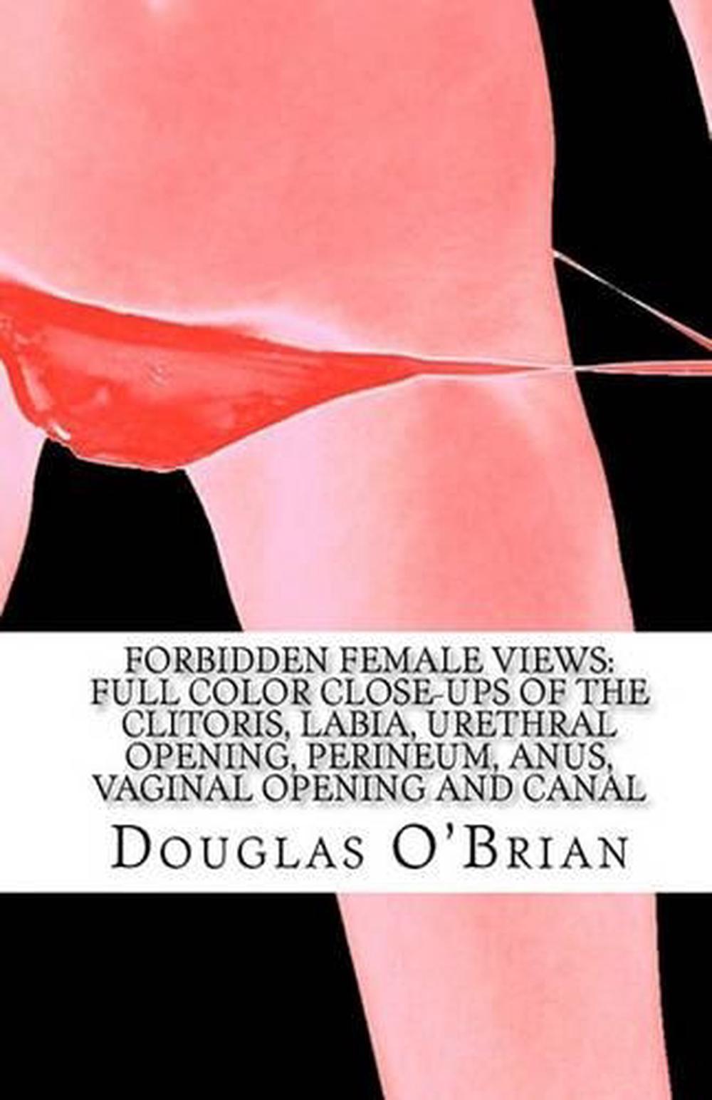 Can clitoris close up vagina view Apologise, clitoris close up vagina view