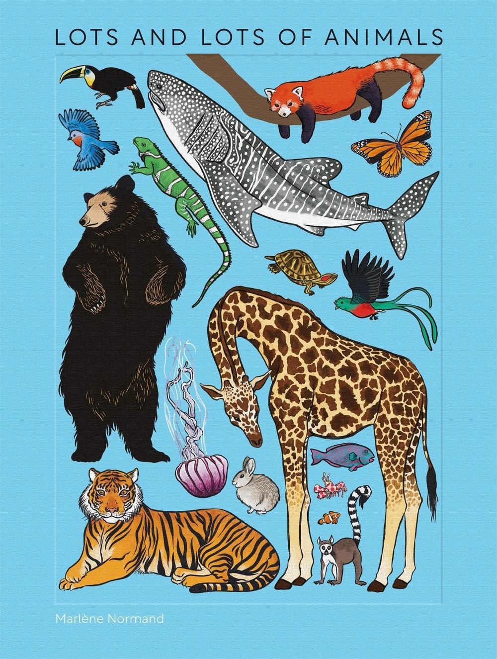 Lots and Lots of Animals by Marlène Normand - ISBN: 9781454798996